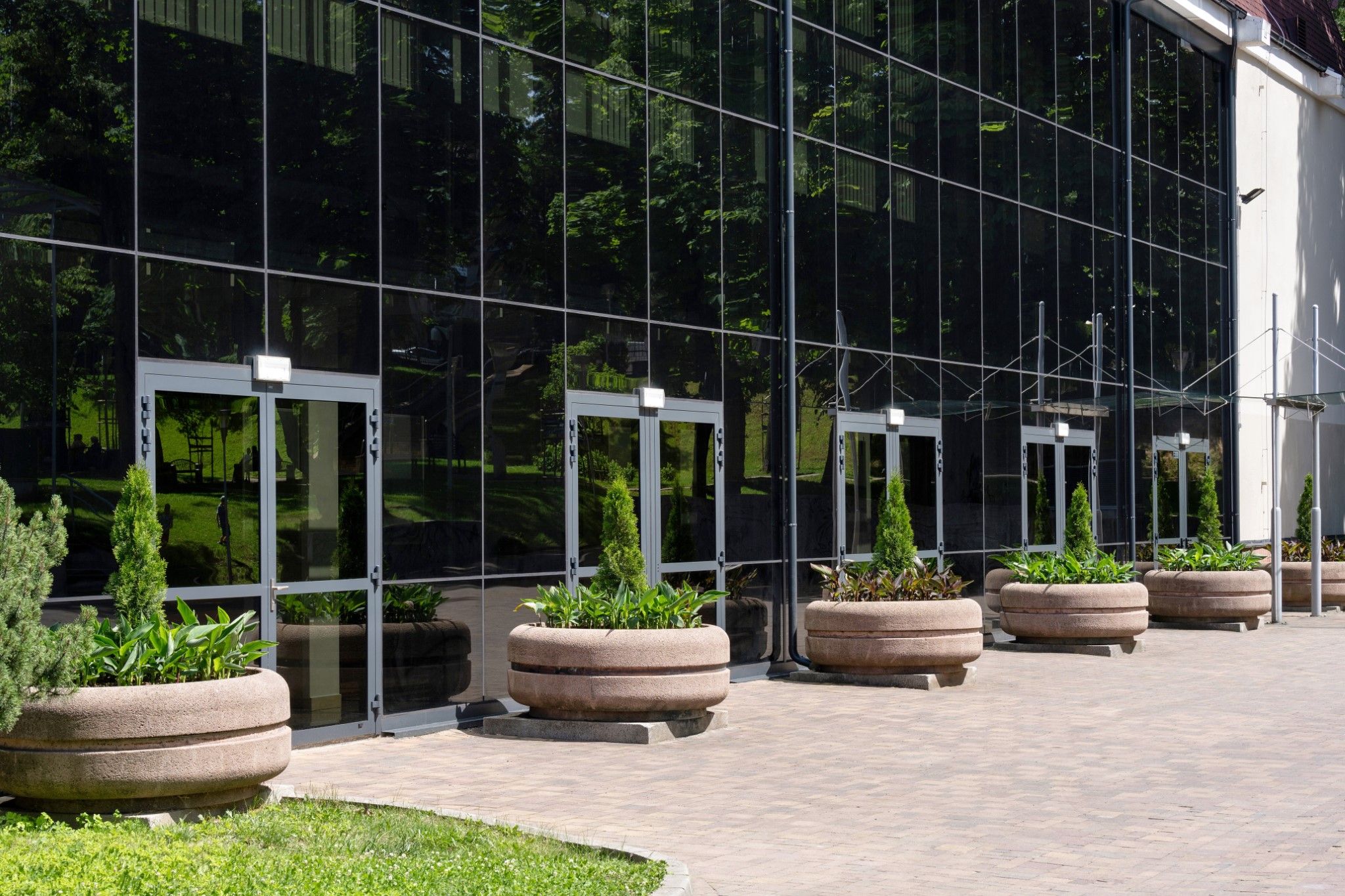 Finestre WIŚNIOWSKI